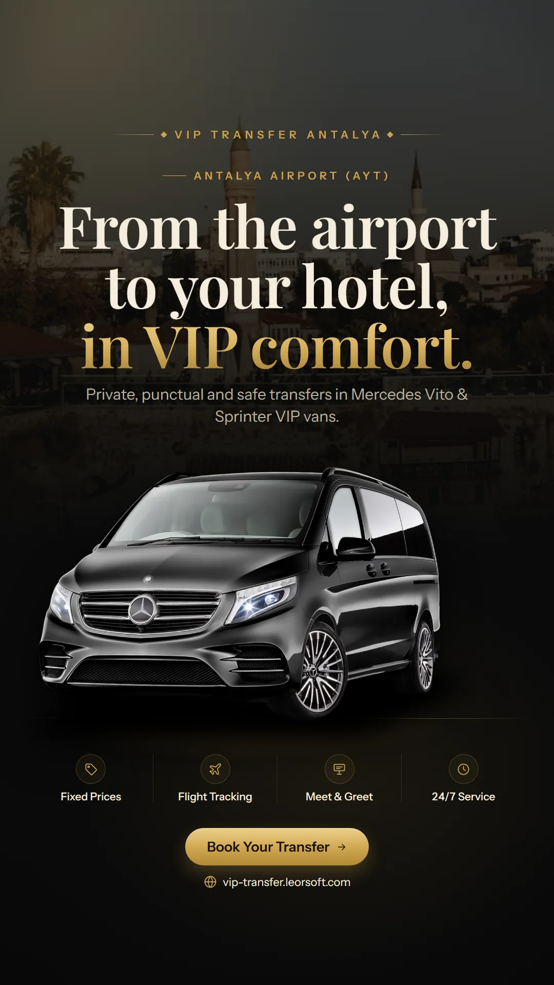 VIP Transfer demo vertical story visual